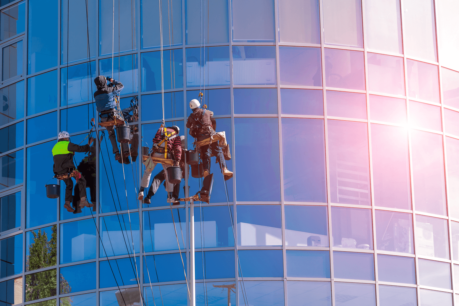 Men in harnesses washing windows on the side of a tall building